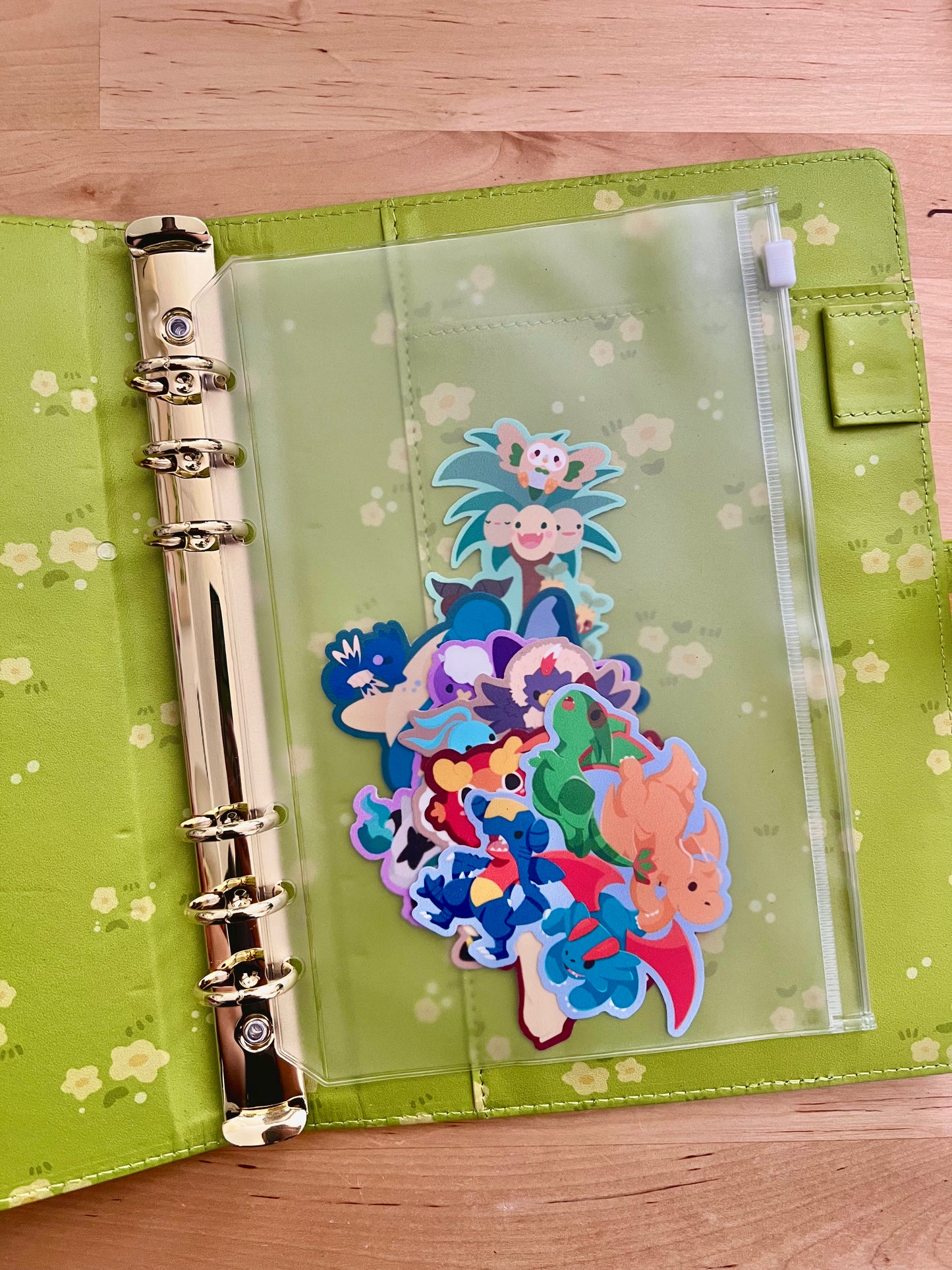Ducks in the Meadow A5 Binder Book (Paper Included!)
