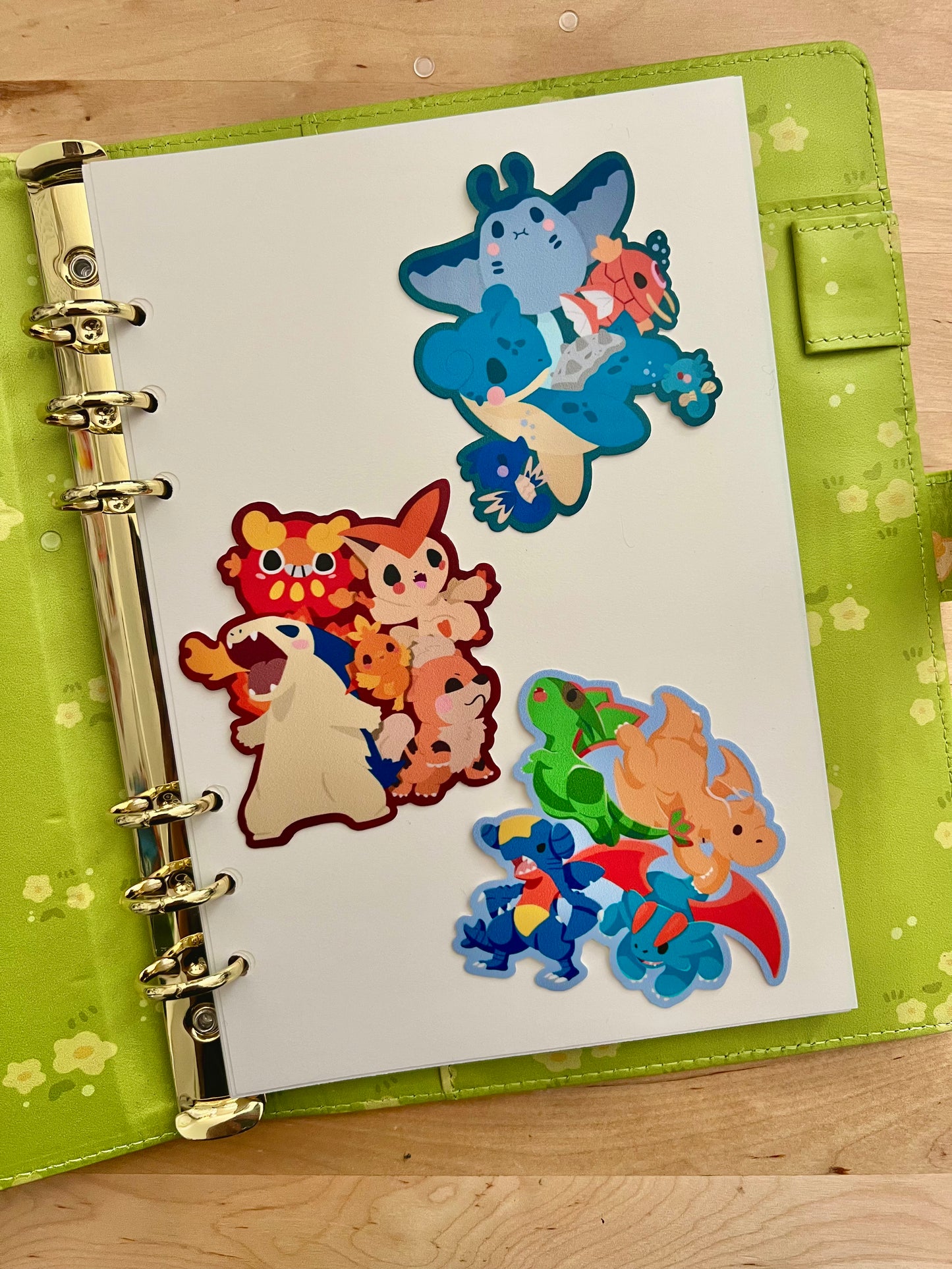 Ducks in the Meadow A5 Binder Book (Paper Included!)