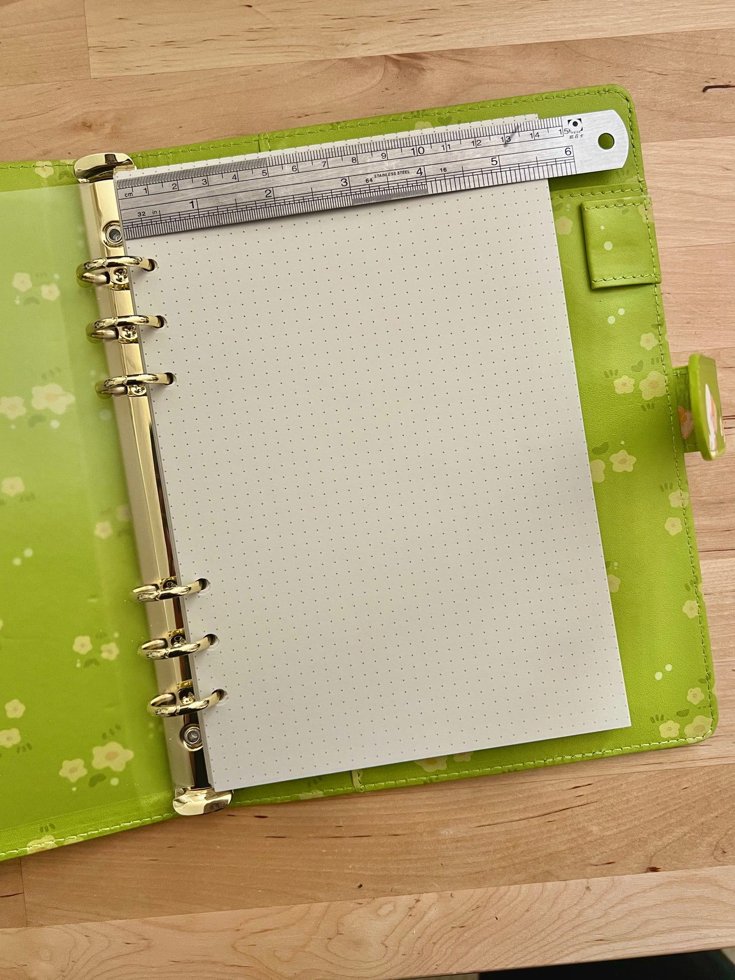 Ducks in the Meadow A5 Binder Book (Paper Included!)