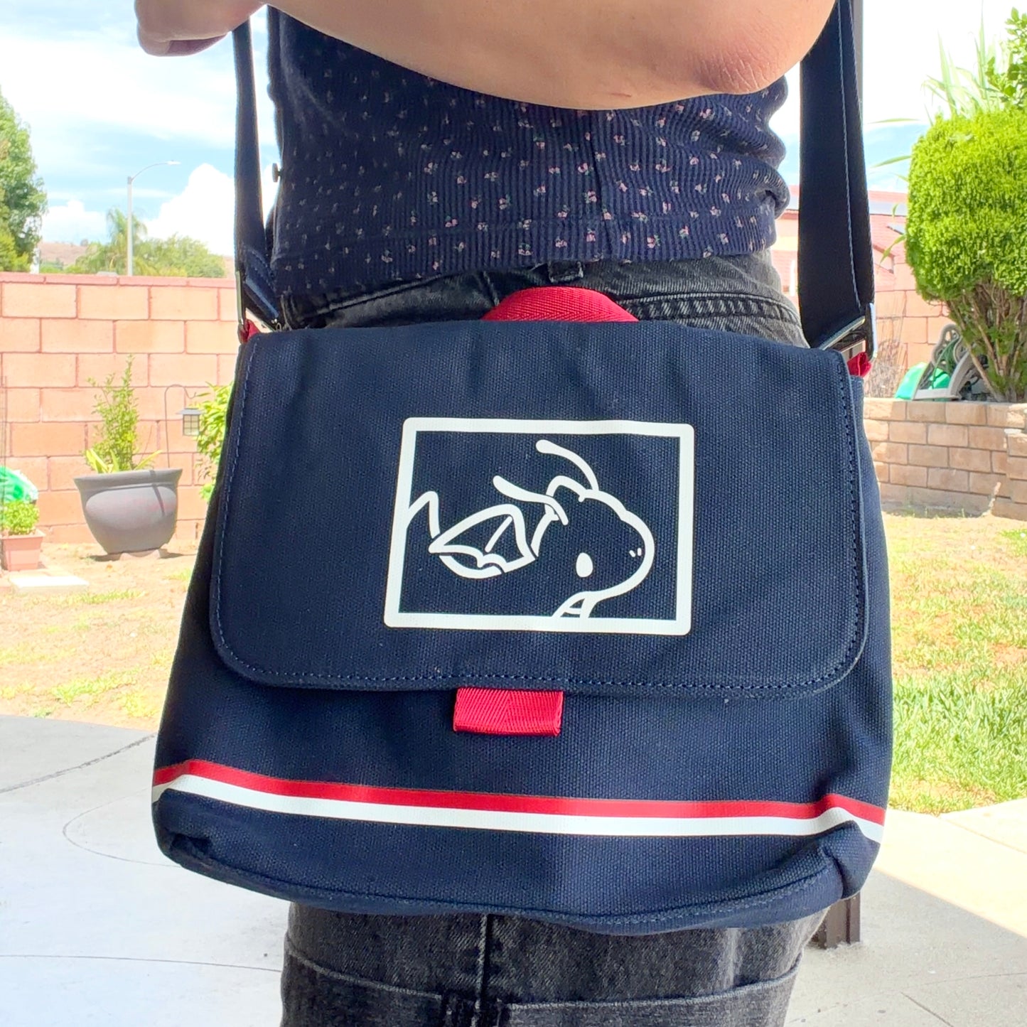 Dragon Mail Mini Satchel