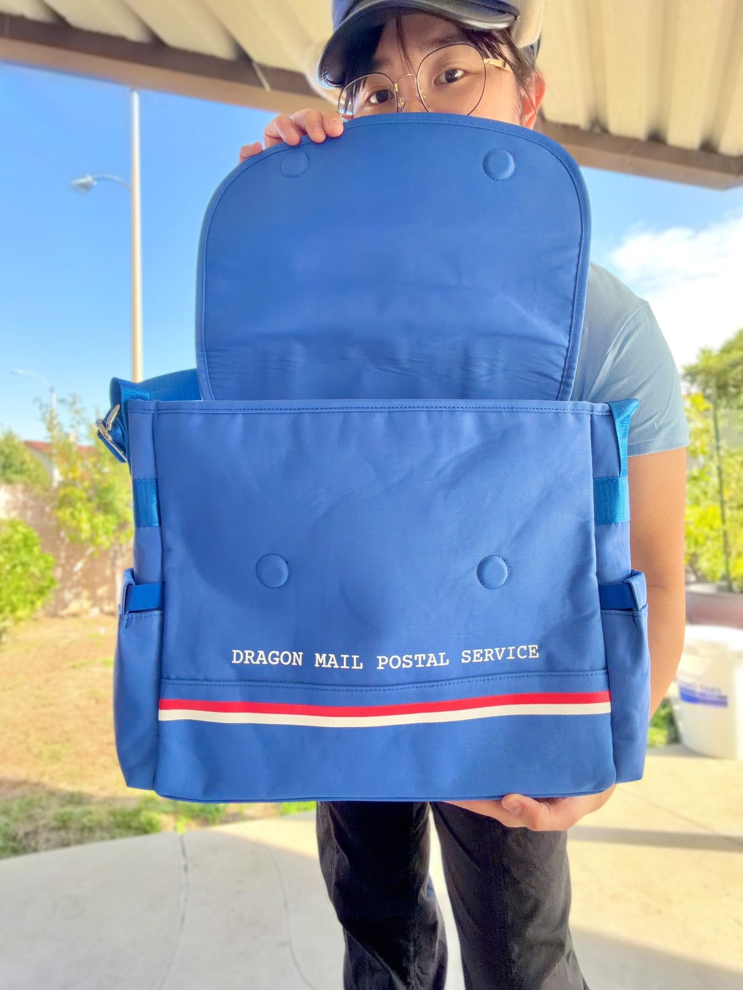 Dragon Mail Postal Service Messenger Bag